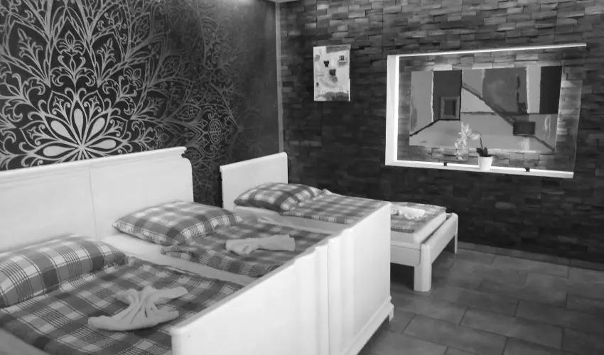 K�kmad�r Vend�gh�z Homokm�gy - H�sv�t