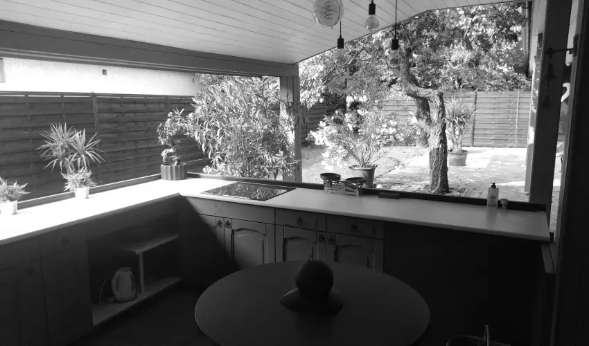 K�kmad�r Vend�gh�z Homokm�gy - H�sv�t