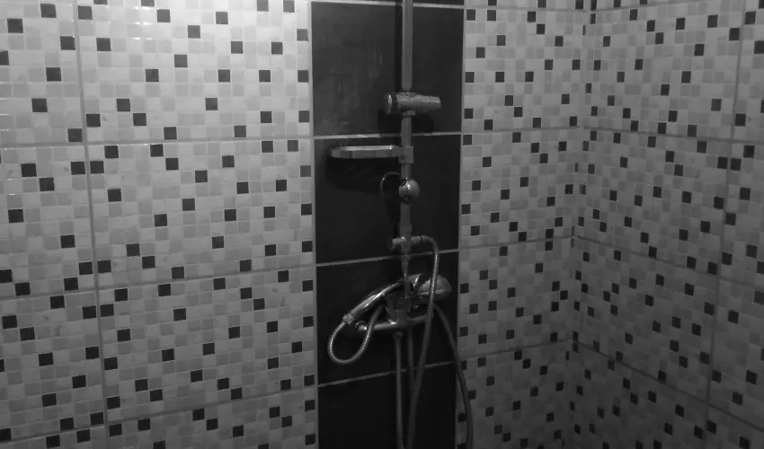 K�kmad�r Vend�gh�z Homokm�gy - H�sv�t