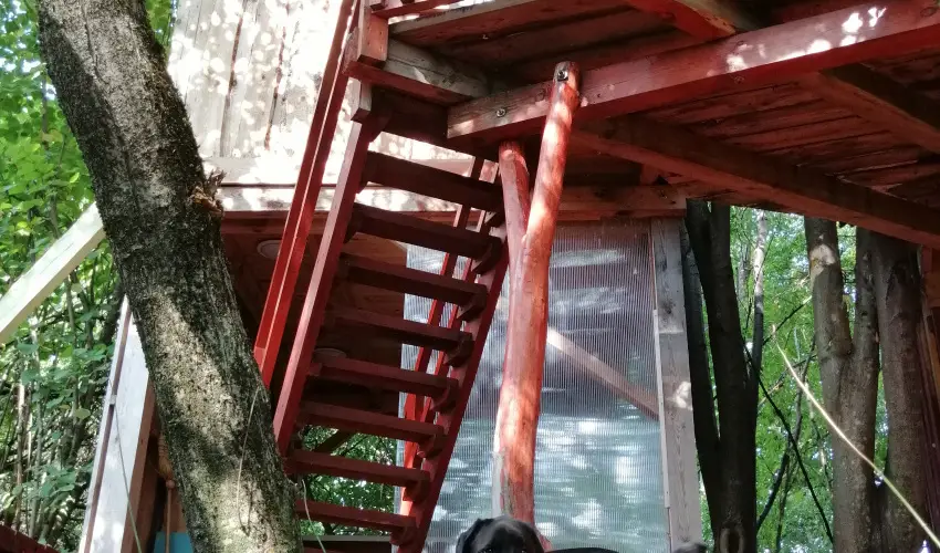 Kerca Bio Farm Kercaszomor - Hsvt (min. 2 j)