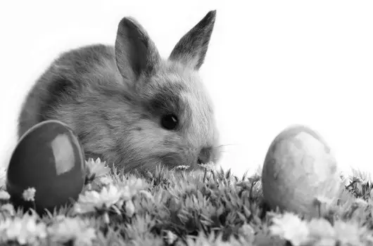 K�t Korona Konferencia & Wellness Hotel - H�sv�ti Hossz� H�tv�ge a Balatonon (min. 3 �j)