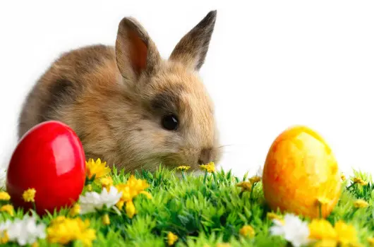 K�t Korona Konferencia & Wellness Hotel - H�sv�ti Hossz� H�tv�ge a Balatonon (min. 3 �j)