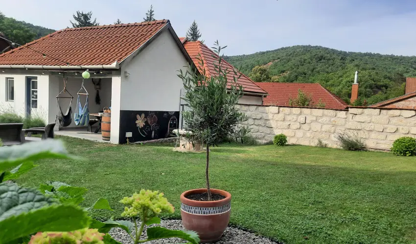 Kiskilenc Vendghz Szarvask - Hsvt (min. 2 j)