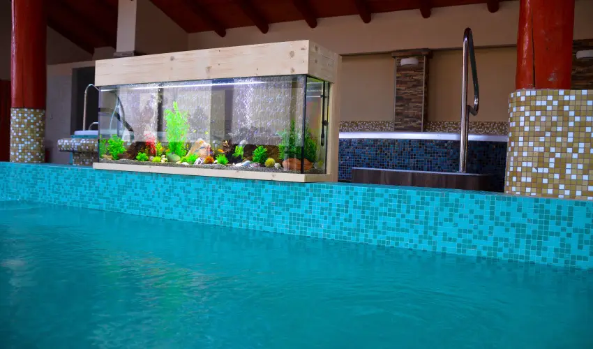 Kkapu Vadszkastly s Hotel & Apartments Nagyhuta - Hsvt (min. 2 j)