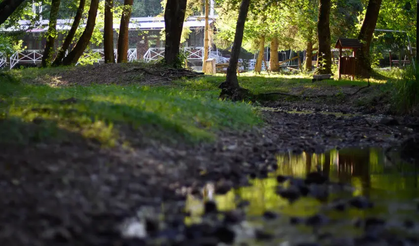 Kkapu Vadszkastly s Hotel & Apartments Nagyhuta - Hsvt (min. 2 j)