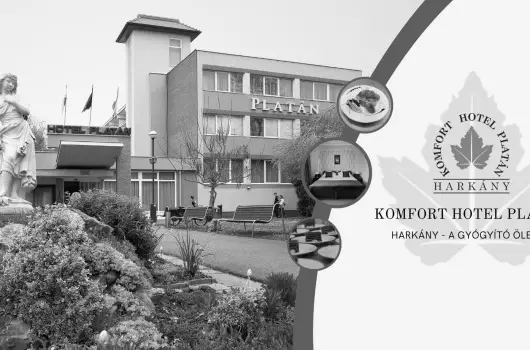 Komfort Hotel Platn - Hsvt