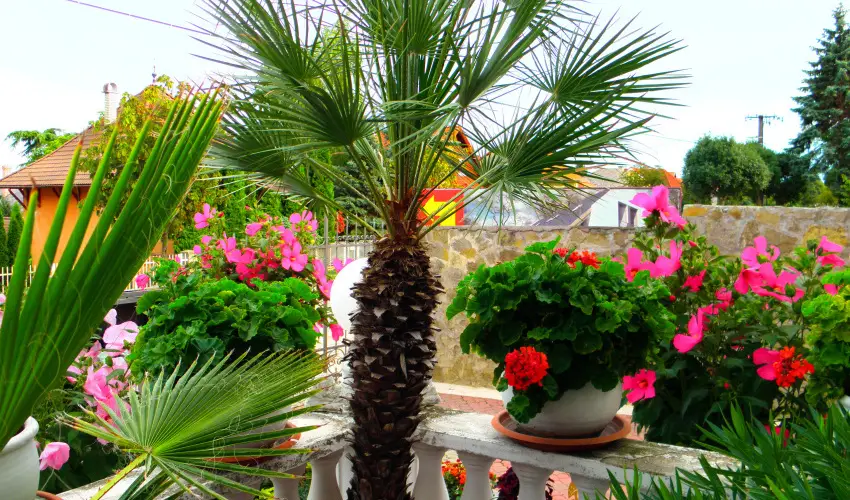 Kristly Apartman Hvz - Hsvt (min. 2 j)