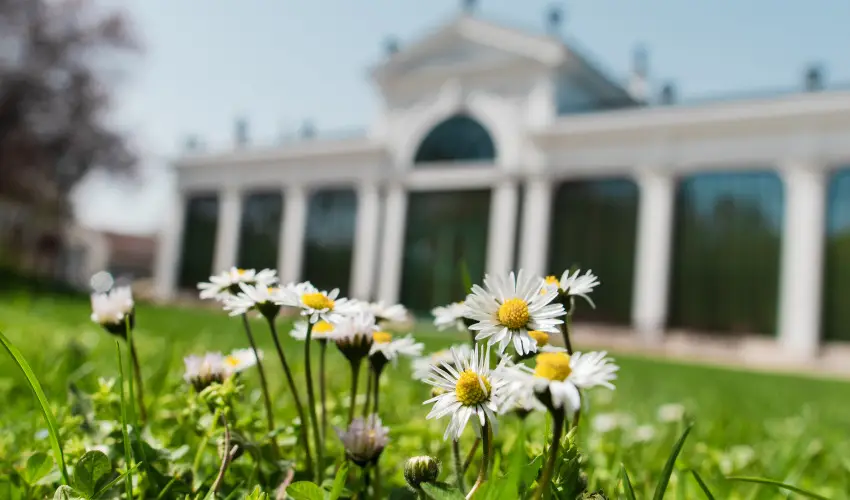 Kristly Imperial Hotel Tata - Hsvt (min. 2 j)