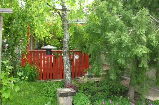 Lelkesh�z - H�sv�t 