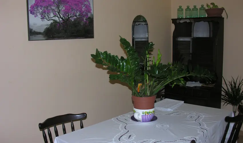 Lelkesh�z Szarvas - H�sv�t 