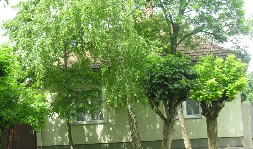 Lelkesh�z Szarvas - H�sv�t 