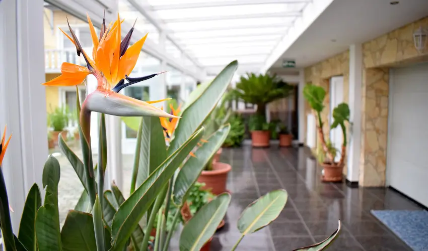 Ldia Hotel Harkny Harkny - Hsvt (min. 2 j)