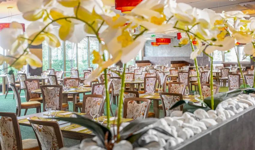 Lifestyle Hotel Mtra Mtrahza - Hsvt (min. 2 j)