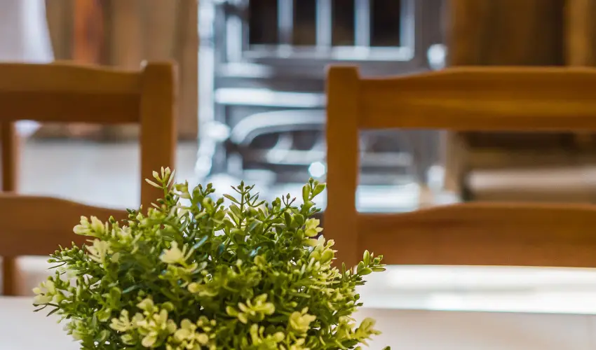 Lipicai Hotel Szilvsvrad - Hsvt (min. 2 j)