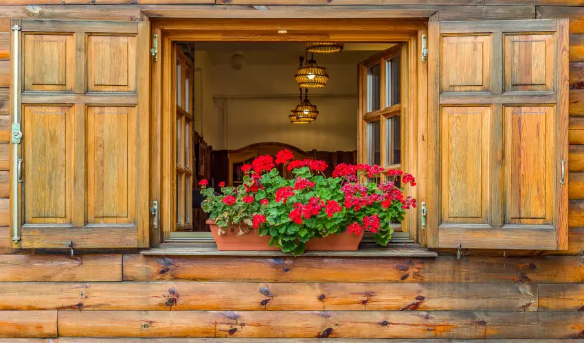 Lipicai Hotel Szilvsvrad - Hsvt (min. 2 j)