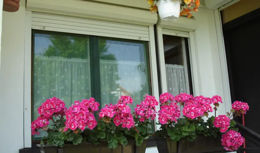 Liza Apartman Gyula - Hsvt (min. 2 j)