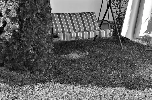 Liza Apartman - H�sv�t (min. 2 �j)