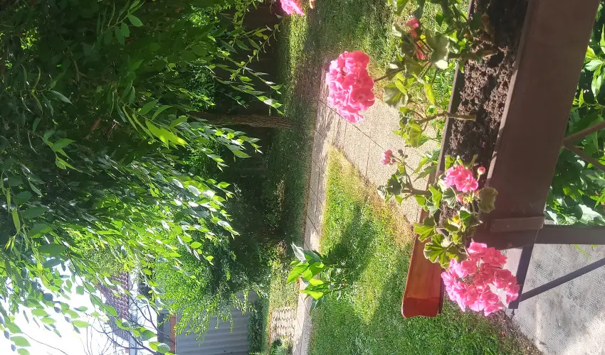 Liza Apartman Gyula - Hsvt (min. 2 j)