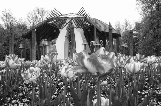 Major Panzi & tterem - Hsvt