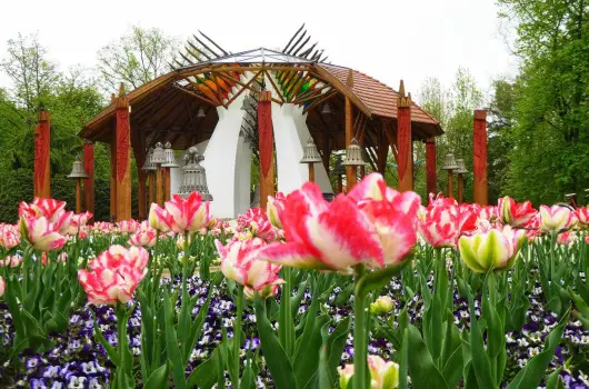 Major Panzi & tterem - Hsvt