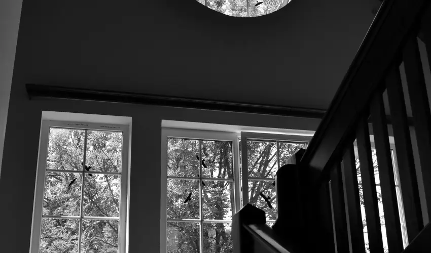 Malomkert Hotel Nagyb�rzs�ny - H�sv�t (min. 2 �j)