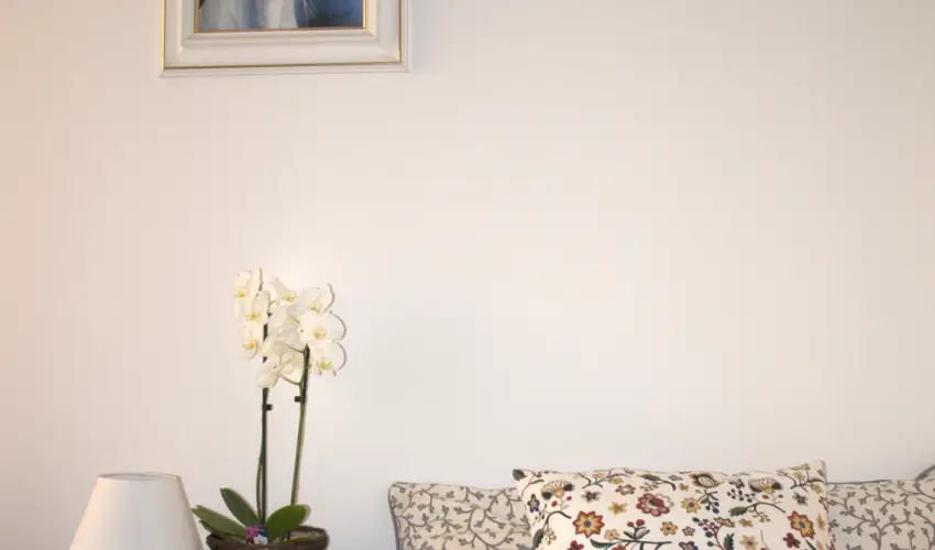 Malom-t Vendghz Tapolca - Hsvt