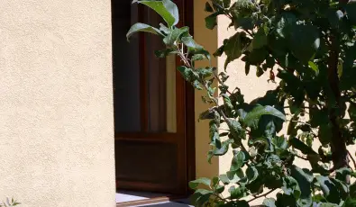 Malom-t Vendghz Tapolca