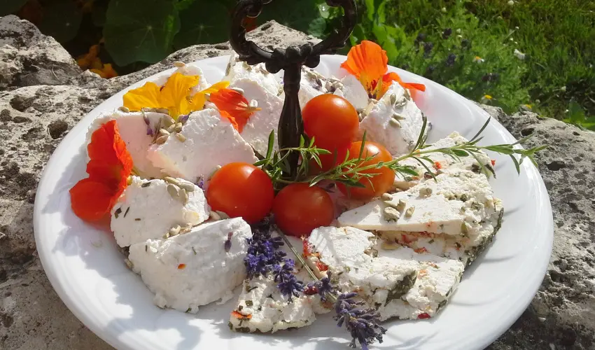 Malom-t Vendghz Tapolca - Hsvt