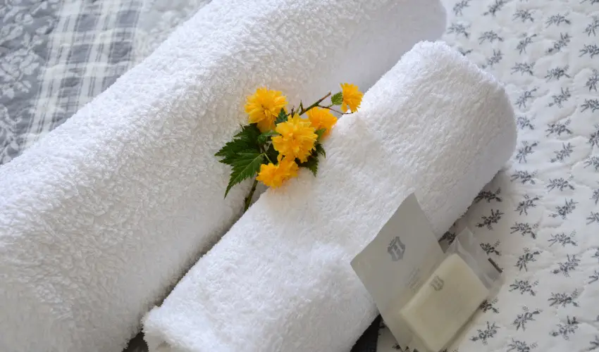 Malom-t Vendghz Tapolca - Hsvt