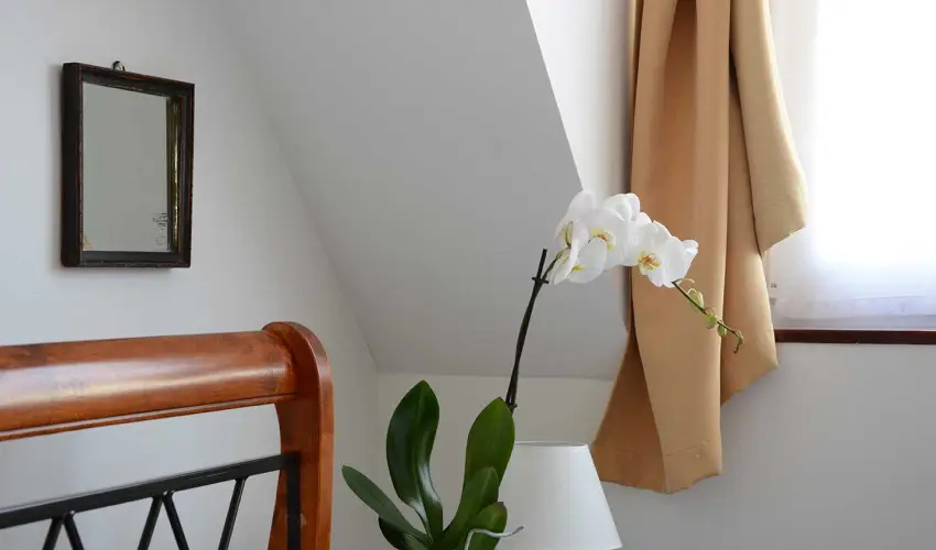 Malom-t Vendghz Tapolca - Hsvt