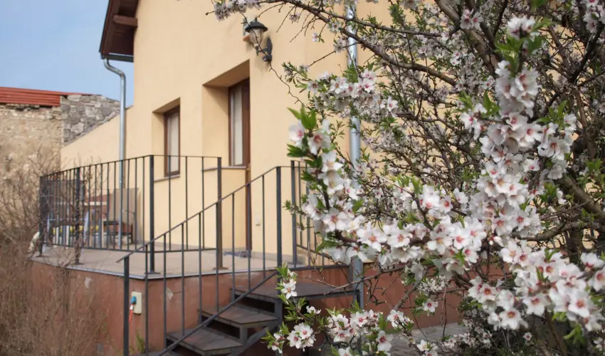 Malom-t Vendghz Tapolca - Hsvt