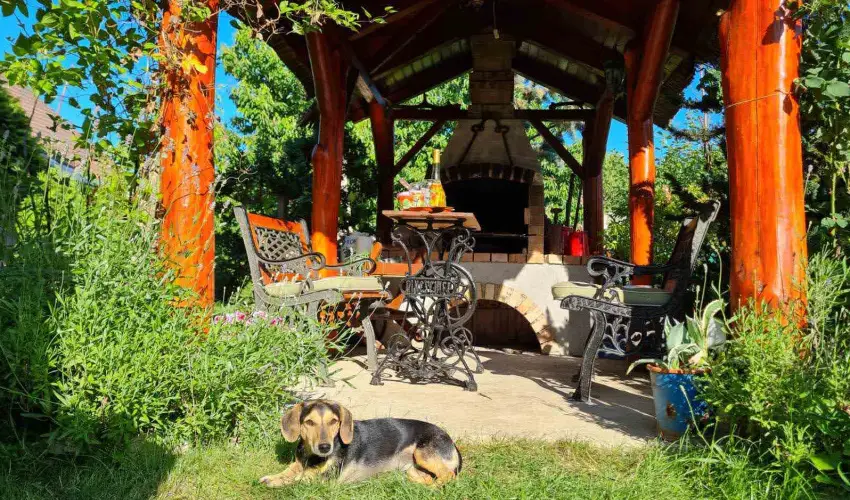 Margar�ta Panzi� S�rospatak - H�sv�t (min. 2 �j)