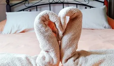 Margar�ta Panzi� S�rospatak