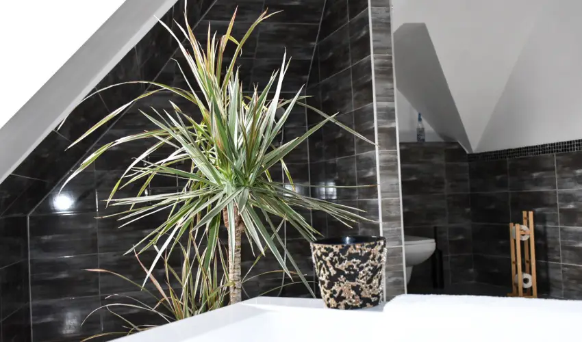 Vgvri Hotel Eger Eger - Hsvt 