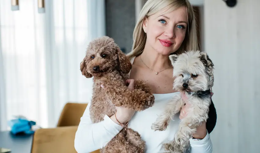 Mercure Tokaj Center Tokaj - Hsvt