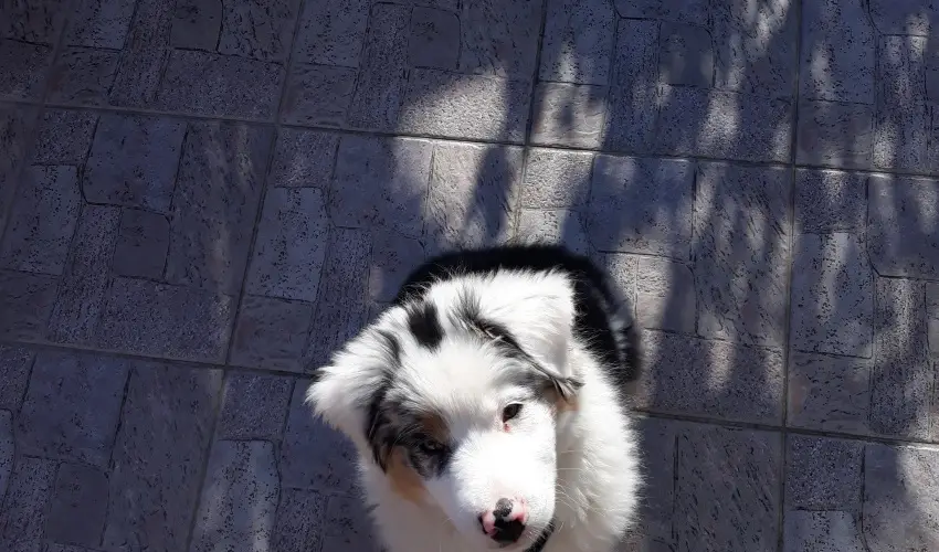 Napsugr Kenzy Lux Apartman Vendghzak Hajdszoboszl - Hsvt (min. 2 j)