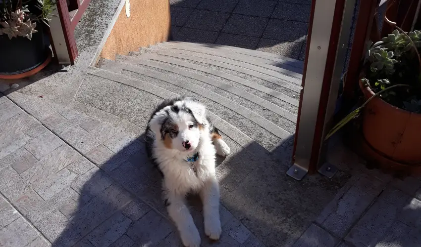 Napsugr Kenzy Lux Apartman Vendghzak Hajdszoboszl - Hsvt (min. 2 j)