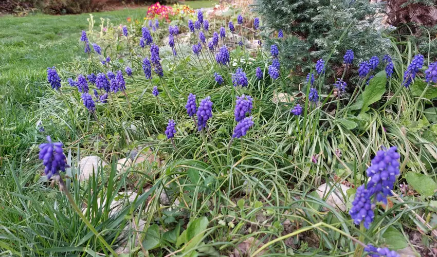 N�gy �vszak Apartmanh�z Zalakaros Zalakaros - H�sv�t