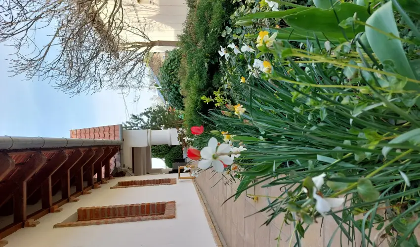 N�gy �vszak Apartmanh�z Zalakaros Zalakaros - H�sv�t