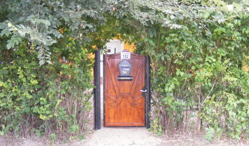 Ngy Glya Apartman Sarud - Hsvt (min. 2 j)