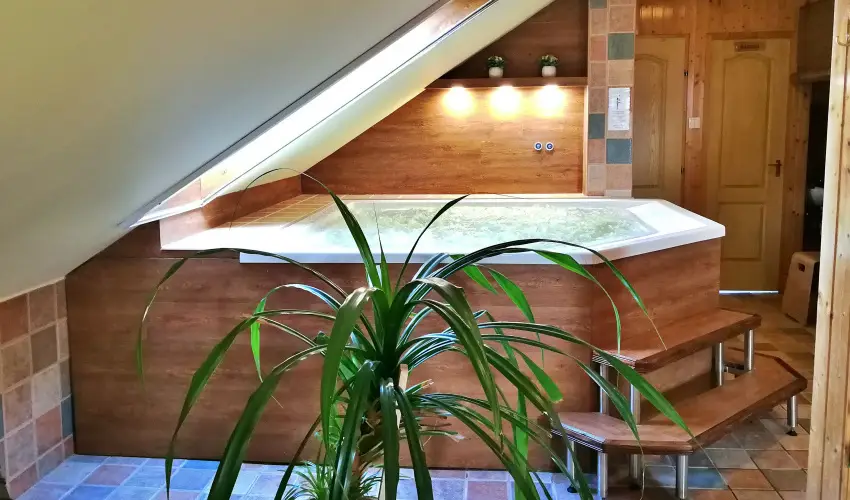 Nelson Hotel Hajd�szoboszl� - H�sv�t