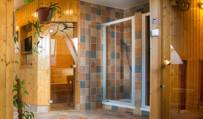 Nelson Hotel Hajd�szoboszl� - H�sv�t