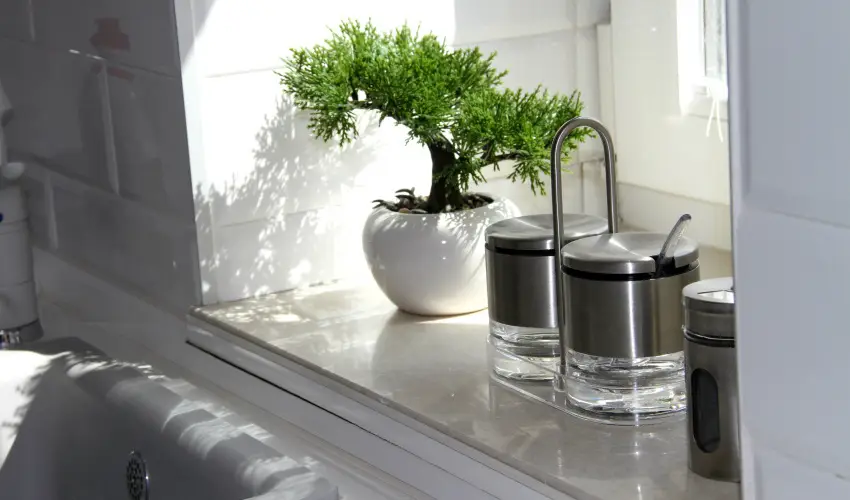 N�meth Apartmanok S�rv�r - H�sv�t 