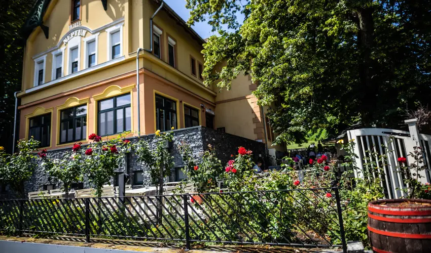 Neptun Badacsony Badacsony - Hsvt 