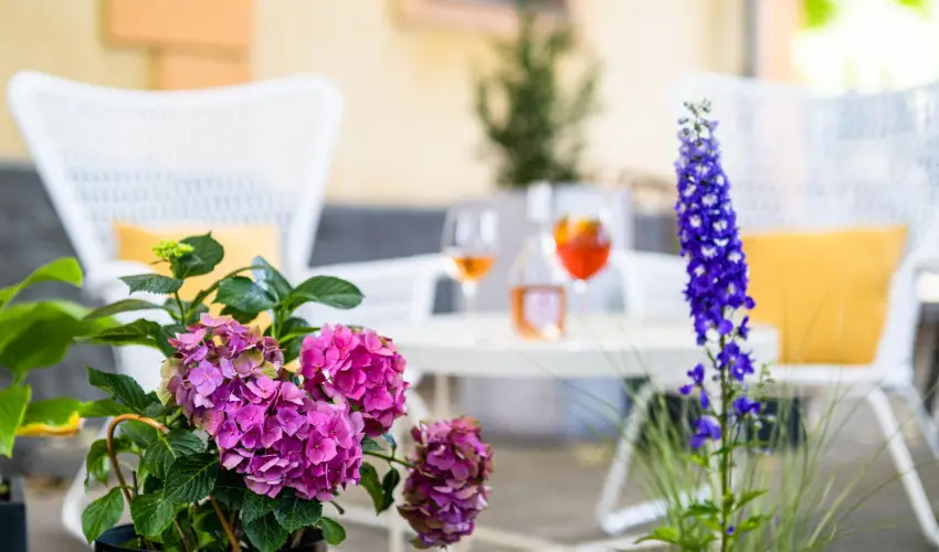 Neptun Badacsony Badacsony - Hsvt 