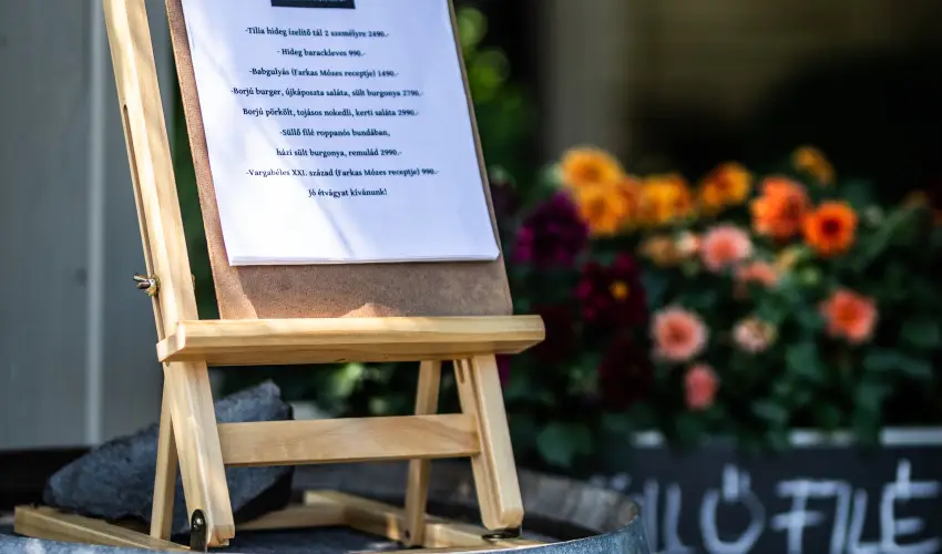 Neptun Badacsony Badacsony - Hsvt 