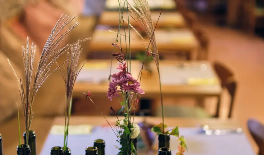 Neptun Badacsony Badacsony - Hsvt 