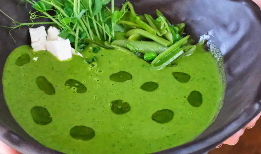 Neptun Badacsony Badacsony - Hsvt 