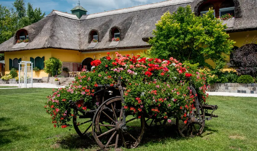 Nyerges Hotel Term�l Monor - H�sv�t 