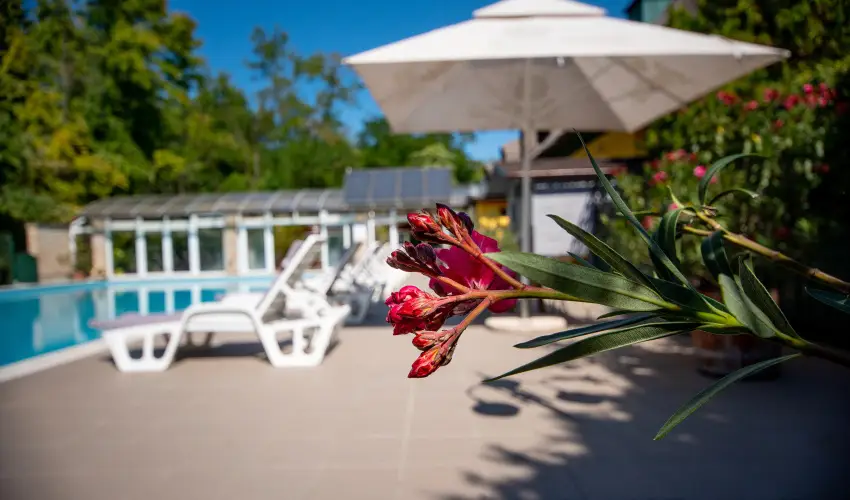 Nyerges Hotel Term�l Monor - H�sv�t 